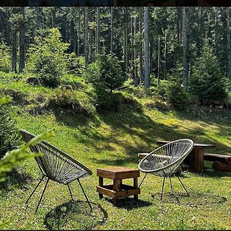 Vila Dragana Žabljak Extérieur photo