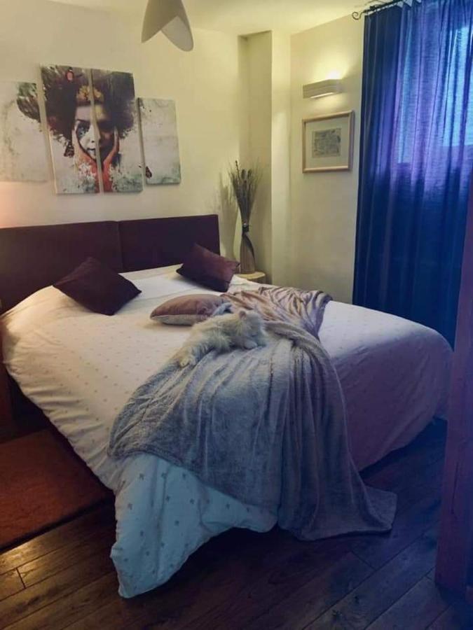 Vila Dragana Žabljak Extérieur photo