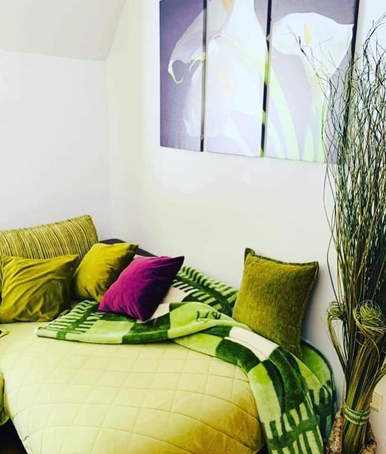 Vila Dragana Žabljak Extérieur photo