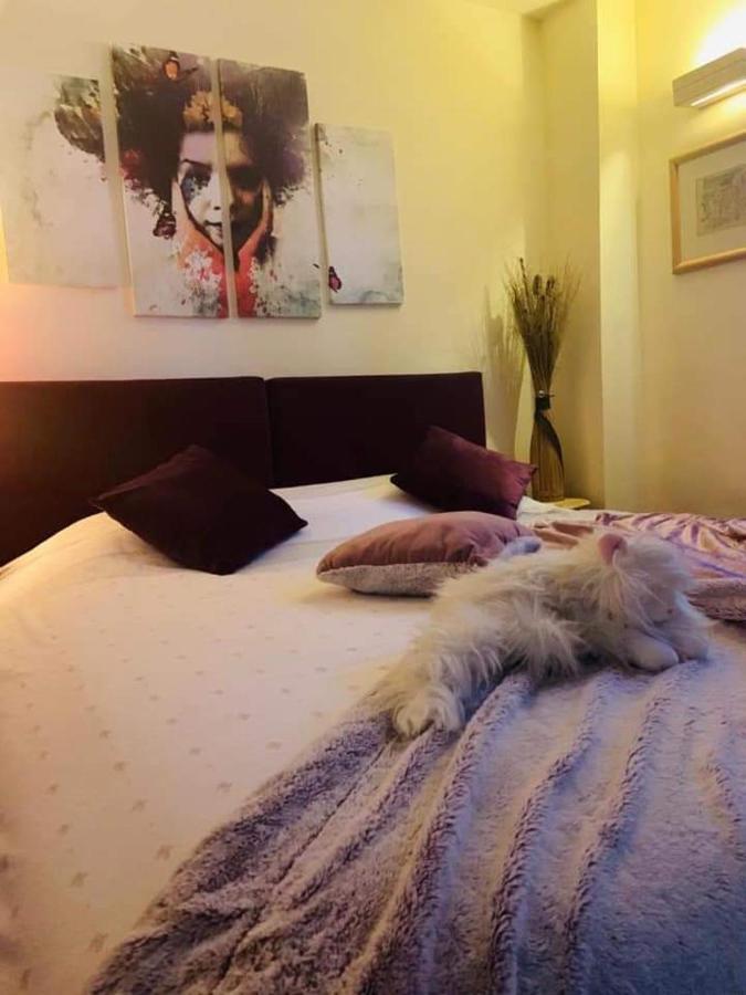Vila Dragana Žabljak Extérieur photo