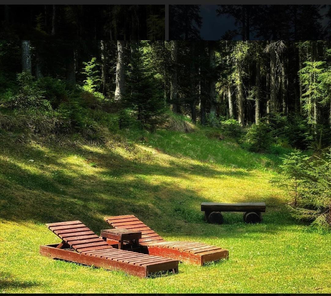 Vila Dragana Žabljak Extérieur photo