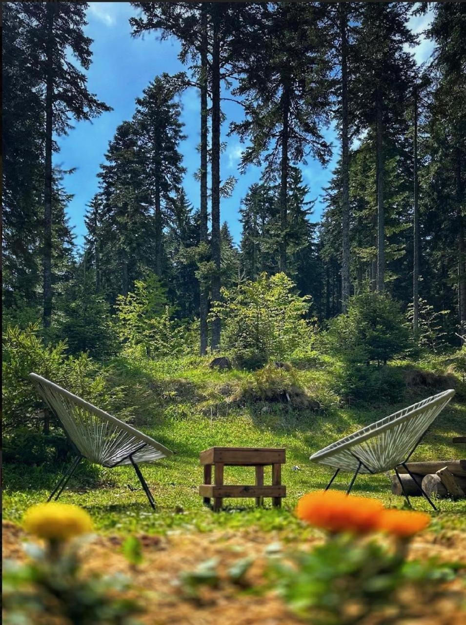 Vila Dragana Žabljak Extérieur photo