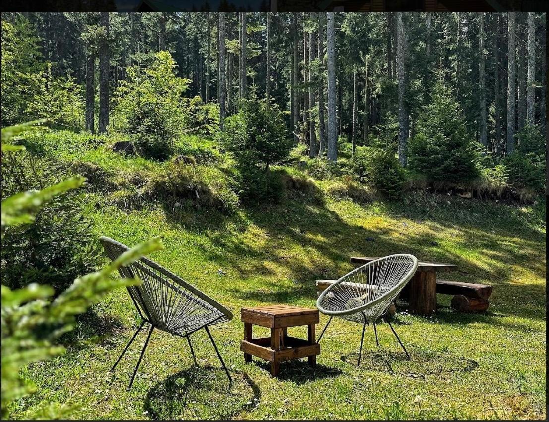 Vila Dragana Žabljak Extérieur photo