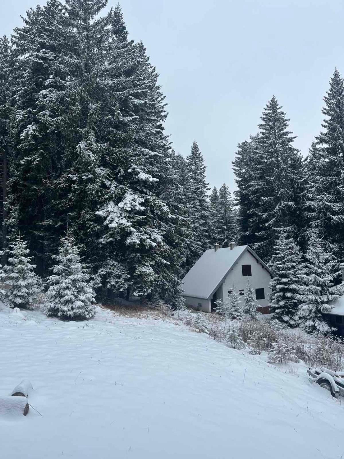 Vila Dragana Žabljak Extérieur photo