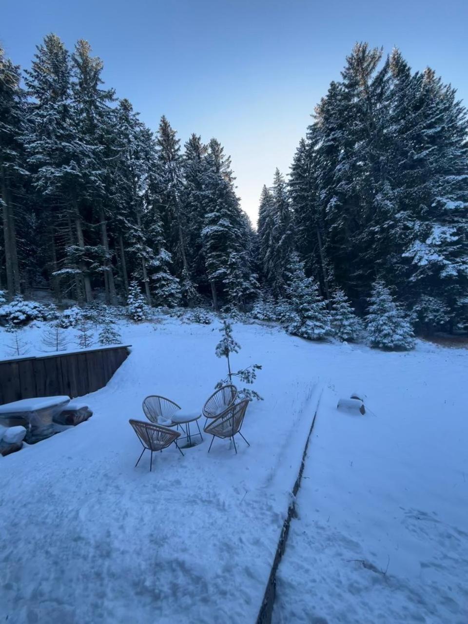 Vila Dragana Žabljak Extérieur photo